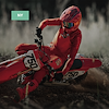 Widget image