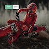 Widget image