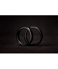 Stark Future Fork oil seal