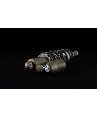 Stark Future KYB rear shock 65/70 kg