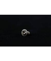 Stark Future License plate light bolt