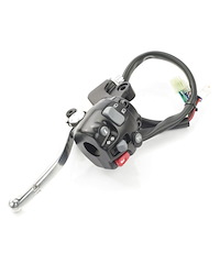 Triumph Triumph Cruise Control Kit