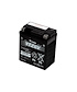 Yuasa YUASA YTZ8V AGM MC-batteri